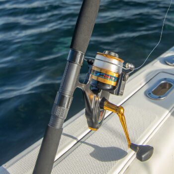 Spinfisher SSM - PENN