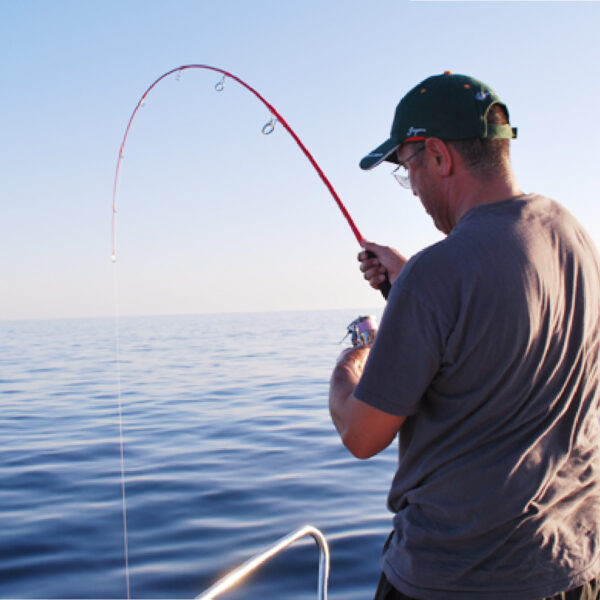 Furrary Racing 80 lb - TENRYU