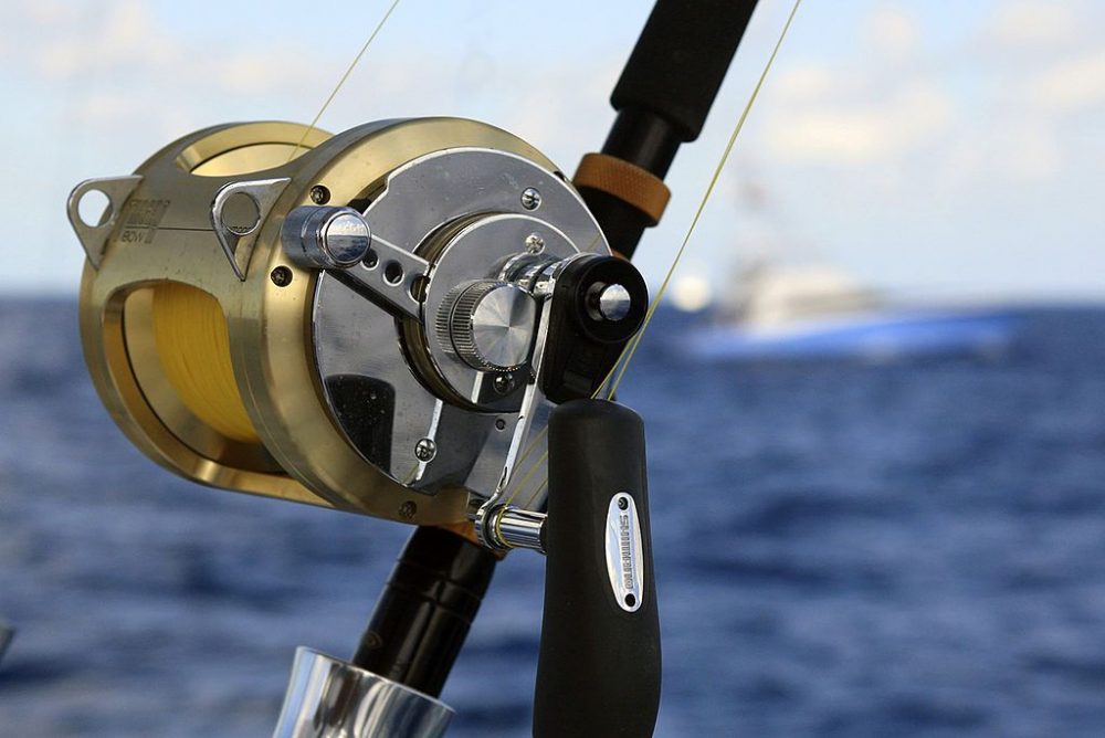 Tiagra 50W LRSA - SHIMANO – Image 2