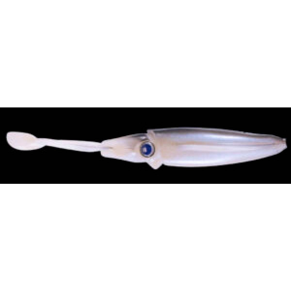Live Squid 10 cm - MAJOR CRAFT – Image 3